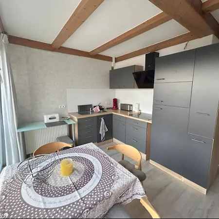 Must Dogs Appartement