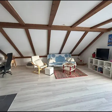 Must Dogs Κόμπλεντς