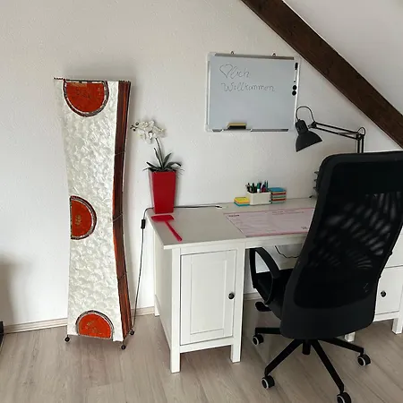 Must Dogs Κόμπλεντς