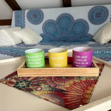 Appartement Must Dogs