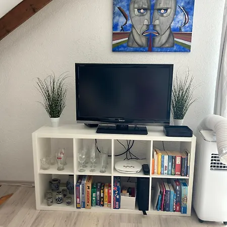 Must Dogs Appartement *