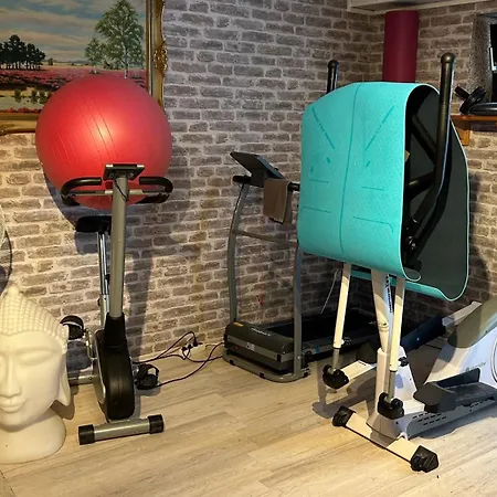 Must Dogs * Κόμπλεντς