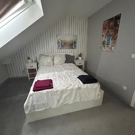 Must Dogs Appartement