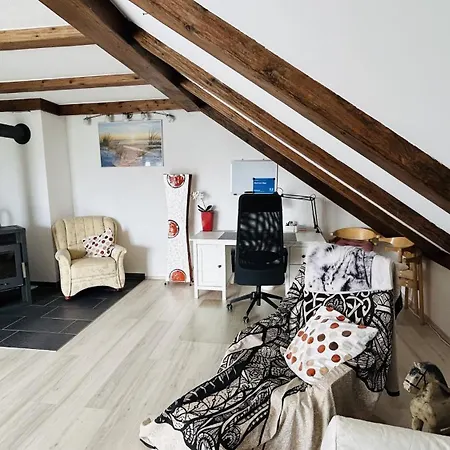 Appartement Must Dogs *