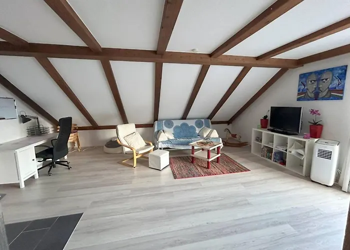 Must Dogs Κόμπλεντς