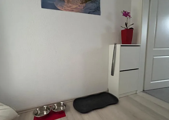 Must Dogs * Κόμπλεντς