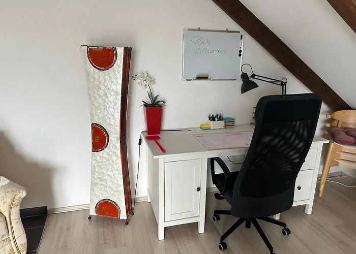 Must Dogs Κόμπλεντς