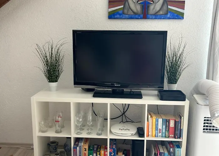 Must Dogs 아파트 *