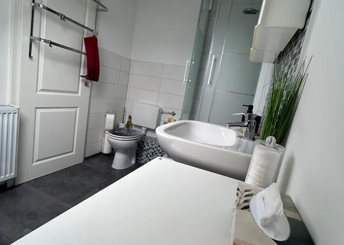 Must Dogs * 코블렌츠